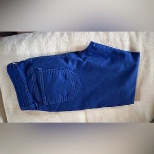 Eileen Fisher cotton Blue ankle pants